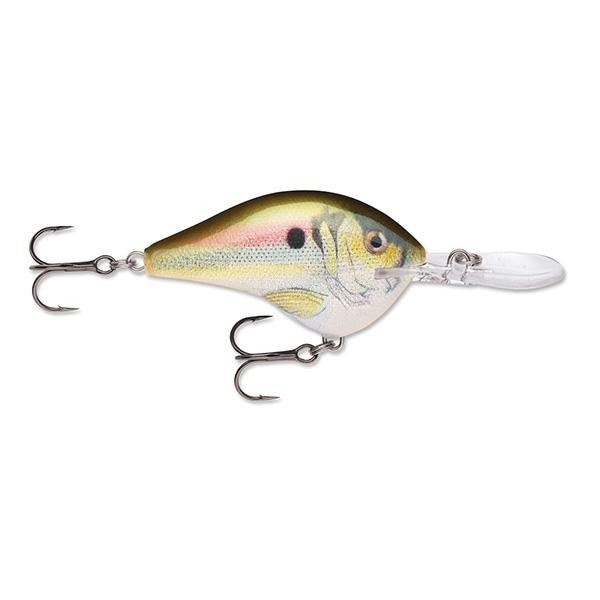 Rapala Dives-To 16 Crankbait Lure - 2 3/4 Inches - shopbulluna.com