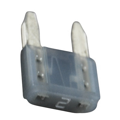 Marpac Mini Plug-In Fuses - 2 Amp - Gray - shopbulluna.com