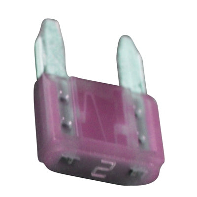 Marpac Mini Plug-In Fuses - 4 Amp - Pink - shopbulluna.com