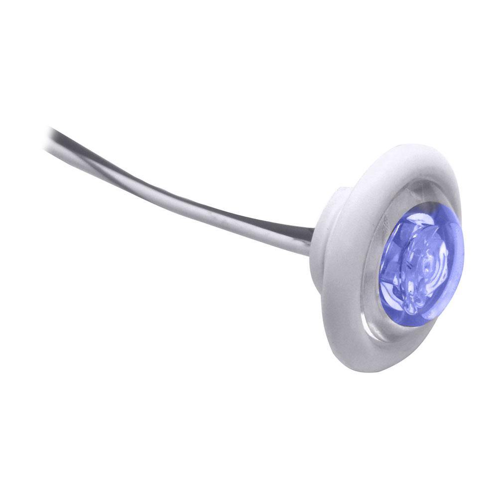 Innovative Lighting LED Bulkhead/Livewell Light "The Shortie" Blue LED w/ White Grommet [011-2540-7] - shopbulluna.com