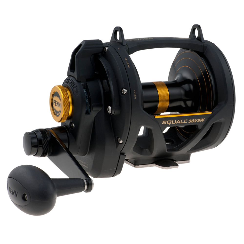 PENN SQL30VSW Squall Lever Drag 2 Speed Conventional Reel [1292937] - shopbulluna.com