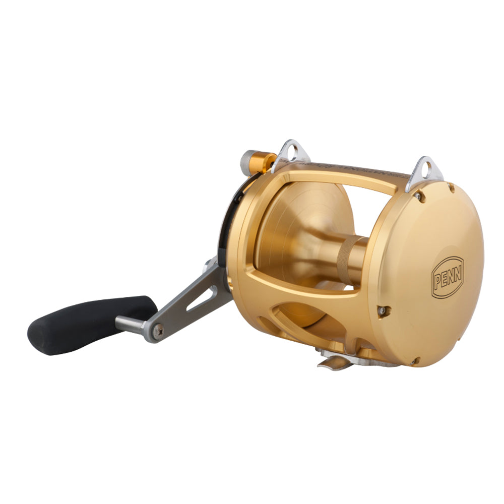 PENN International 80 VISW INT80VISW 2-Speed Conventional Reel - Gold [1370784]