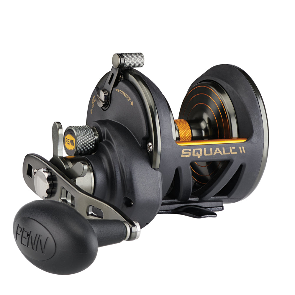 PENN Squall II Star Drag Conventional Reel - SQLII25NSD [1522169] - shopbulluna.com