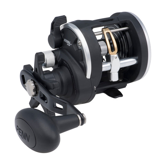 PENN RIV15LW Rival 15 Level Wind Reel [1403990] - shopbulluna.com