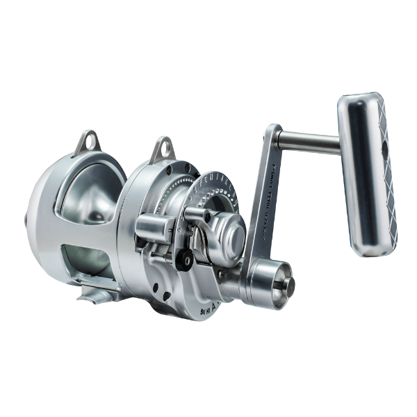 Accurate ATD-6T Platinum Twin Drag Reel - shopbulluna.com