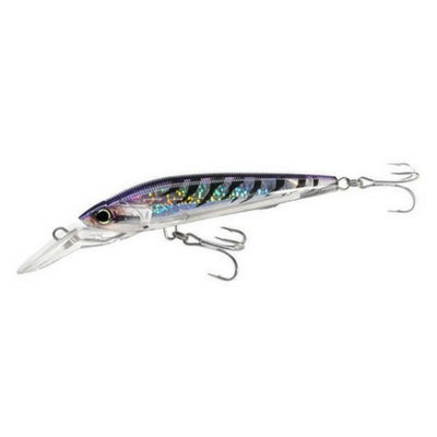 Yo-Zuri 3D Magnum Sinking Lure - 5 1/2 Inches - shopbulluna.com