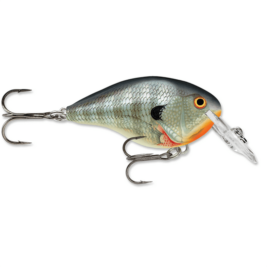 Rapala Dives-To 04 Crankbait Lure - 2 Inches - shopbulluna.com