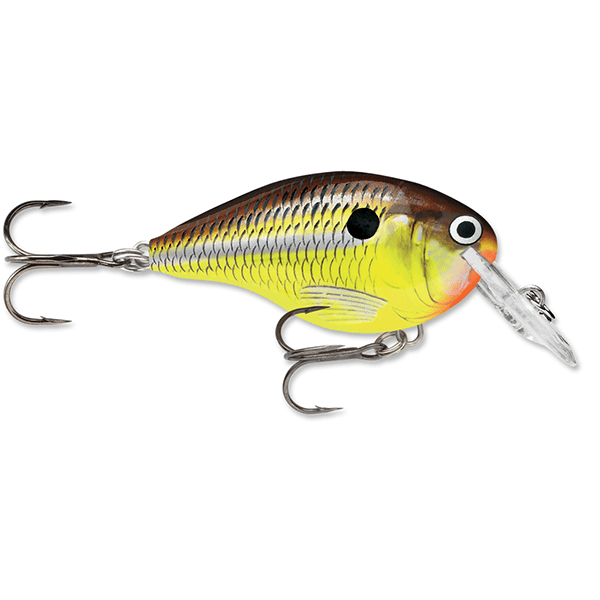 Rapala Dives-To 04 Crankbait Lure - 2 Inches - shopbulluna.com