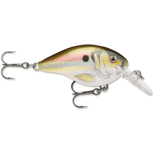 Rapala Dives-To 04 Crankbait Lure - 2 Inches - shopbulluna.com