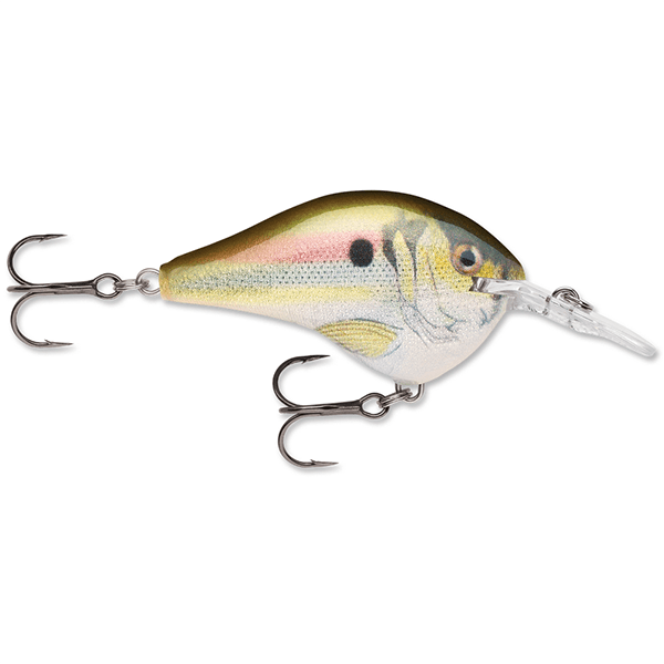 Rapala Dives-To 06 Crankbait Lure - 2 Inches - shopbulluna.com